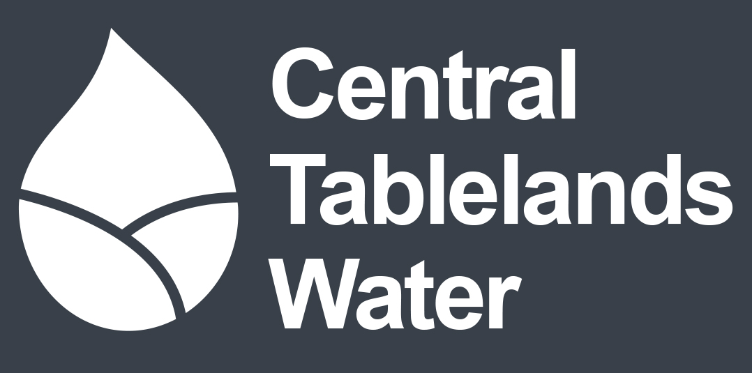 FOOTER-LOGO CTW logo